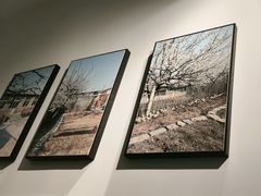 -瓦国小镇·果木烤鸭·融合菜(西口店)