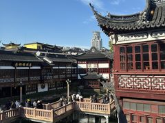 -绿波廊(豫园店)