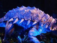 -侏罗纪世界电影特展(广州站)