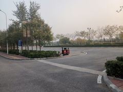 -塘沽森林公园