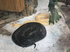 -大连森林动物园