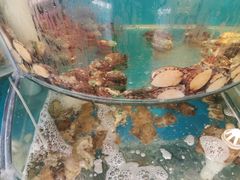 -仙螺岛海鲜自助餐厅(总店)