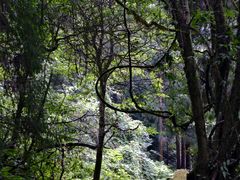 -西岭雪山大飞水景区