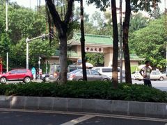 -中山大学学者灵芝(园南路店)