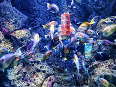 -成都浩海立方海洋公园