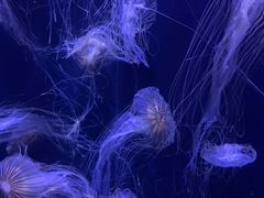 -青岛海底世界-水族馆