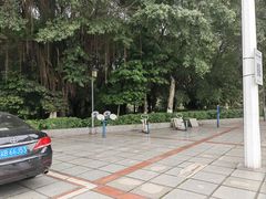 -重庆平顶山公园