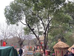 -天目湖山水园