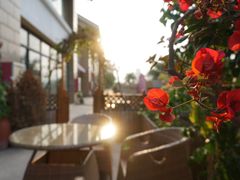 -茶油香闽南菜·花园餐厅(前埔店)