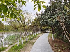 -天鹅湖体育公园