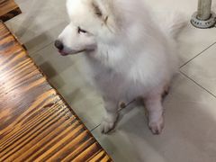 -阊门姚记豆浆(旧学前直营店)