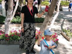 -水磨沟公园