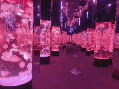 -成都浩海立方海洋公园