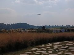 -空港花田景区