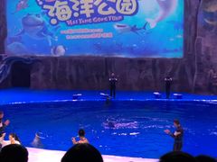 -华夏文旅西安度假区