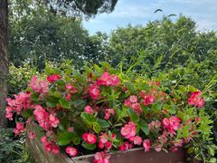 -上海市保健医疗中心