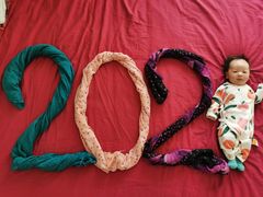 -爱月宝月嫂·育儿嫂