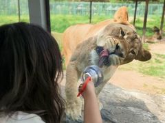 -鄂尔多斯野生动物园