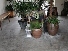 -云里小坐·小院里·团建·宴请·下午茶(三圣乡店)