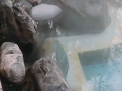 -青城道汤池