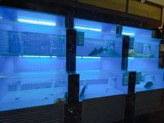 -七味·用心做好鱼(花桥店)