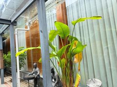 -九龙湾·御膳坊(九龙窠路店)