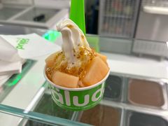 -Salud撒露欧洲冻酸奶(五道口购物中心店)