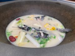 -滇色蒸汽石锅鱼(京华城店)