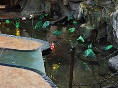 -和源祥·日照菜扛把子(万平口一店)