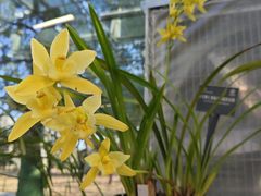 -国家植物园南园