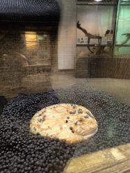 -Zoolung Zoolung动物主题公园(海信广场店)