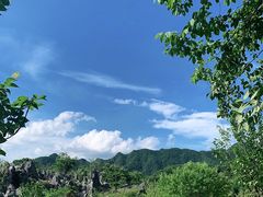 -千岛湖石林