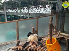 -青藏高原野生动物园