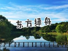 -东方绿舟景区