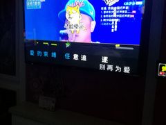 -金青果甄选KTV(劳动公园店)
