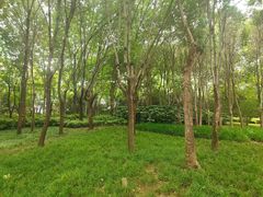 -郑州植物园