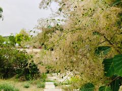 -永定河休闲森林公园