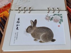 -天禧专业理胎发纪念品乐园·婴儿宝宝理发剃胎毛胎头胎毛笔定制店