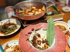 -菌自由丨野生菌火锅特色庭院餐厅(丽江古城店)