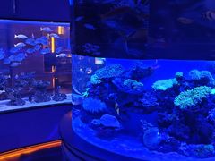 -上和臻品中国菜(花园街店)