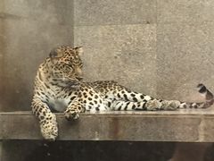 -西安秦岭野生动物园