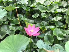 -19号私房菜(云南路店)