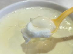 青海老酸奶-青海宋家酿皮(汇翠花园店)
