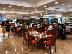 -圣爵菲斯大酒店(长沙世界之窗店)