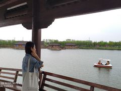 -杭州湾海上花田景区