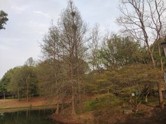 -尚贤河湿地