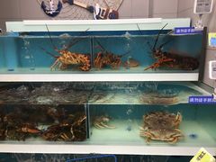 -盒马鲜生(大成店)