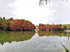 -厦门园林博览苑