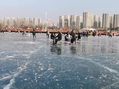 -丁香湖公园