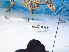 -吉林省自然博物馆